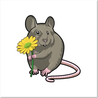 Rat with yellow Flower Posters and Art